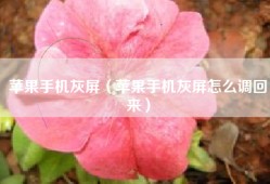 苹果手机灰屏（苹果手机灰屏怎么调回来）