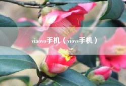 viaovo手机（viovs手机）