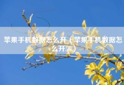 苹果手机数据怎么开（苹果手机数据怎么开5G）