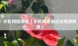 手机网络测试（手机网络测试在线测网速）