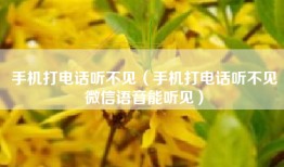 手机打电话听不见（手机打电话听不见微信语音能听见）