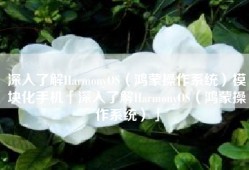 深入了解HarmonyOS（鸿蒙操作系统）模块化手机「深入了解HarmonyOS（鸿蒙操作系统）」