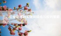 三、公章管理的关键风险点与应对策略