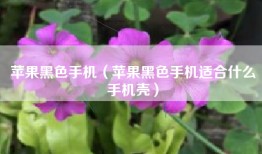 苹果黑色手机（苹果黑色手机适合什么手机壳）