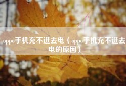 oppo手机充不进去电（oppo手机充不进去电的原因）