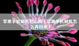 苹果手机刷机怎么弄（苹果手机刷机怎么弄回来）