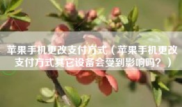 苹果手机更改支付方式（苹果手机更改支付方式其它设备会受到影响吗？）