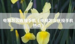 电视怎么连接手机（电视怎么连接手机热点）