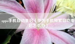 oppo手机自动重启（华为手机频繁自动重启怎么办）