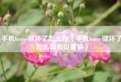 手机home键坏了怎么办（手机home键坏了怎么调出设置来）