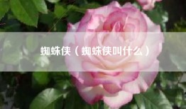 蜘蛛侠（蜘蛛侠叫什么）