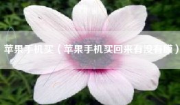 苹果手机买（苹果手机买回来有没有膜）