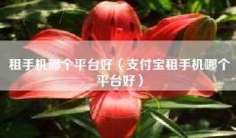 租手机哪个平台好（支付宝租手机哪个平台好）