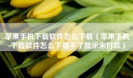 苹果手机下载软件怎么下载（苹果手机下载软件怎么下载不了显示未付款）