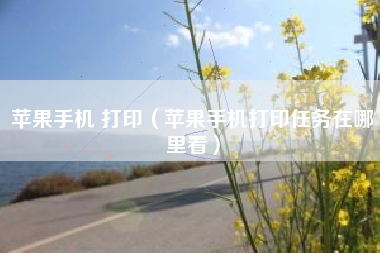 苹果手机 打印（苹果手机打印任务在哪里看）