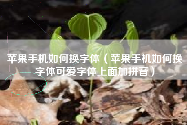 苹果手机如何换字体（苹果手机如何换字体可爱字体上面加拼音）