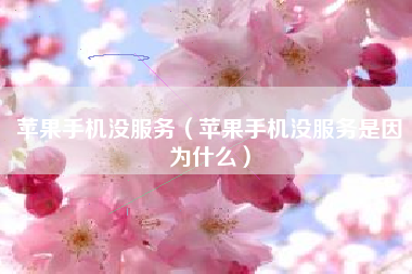 苹果手机没服务（苹果手机没服务是因为什么）