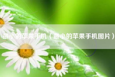 最小的苹果手机（最小的苹果手机图片）