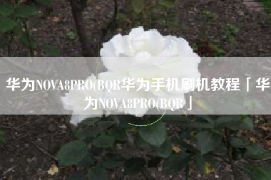 华为NOVA8PRO(BQR华为手机刷机教程「华为NOVA8PRO(BQR」